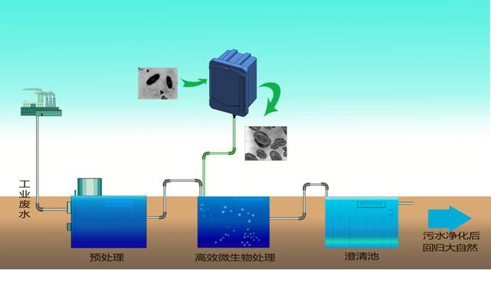 哪些废水可接纳生物处置惩罚